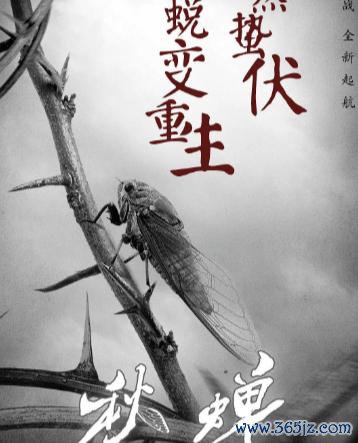 浙江卫视完播!49集谍战老剧,张涵予、王劲松镇守,实力派采集!