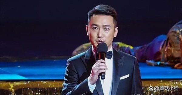 巩峥：曾是央视主执，如今陶醉到在演艺圈跑破碎